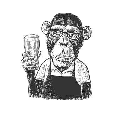 Monkey dressed apron hold beer glass. Vintage black engraving Stock Illustration