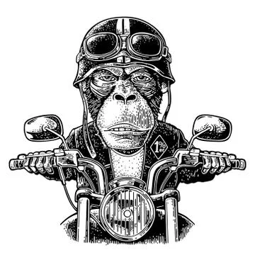 Monkey driving a motorcycle rides. Vector vintage engraving Illustrazione stock