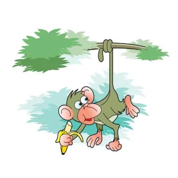 Monkey eating banana Stock Illustration