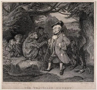 A monkey in elegant costume is addressing a group of wild monkeys under a t.. Stock Illustration