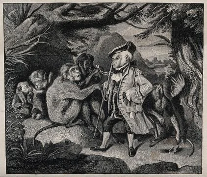A monkey in elegant costume is addressing a group of wild monkeys under a t.. Stock Illustration