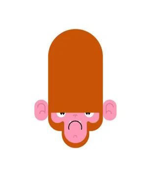 Monkey face angry isolated. Gorilla head. Vector illustration イラスト素材