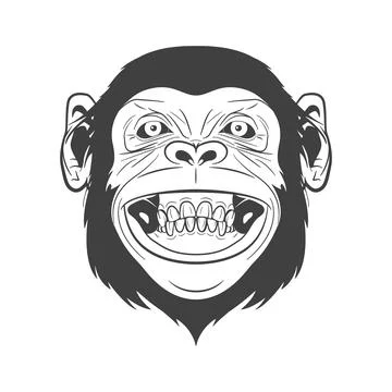 Monkey Face Illustration. Grinning Monkey Head Portrait In Black and White Line Stock Illustration