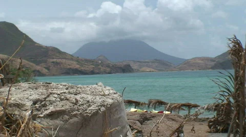 Monkey Stock Footage 435791