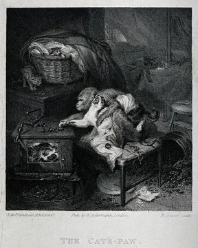 A monkey forcing a cat to retrieve hot chestnuts, so burning its paws on th.. Stock Illustration
