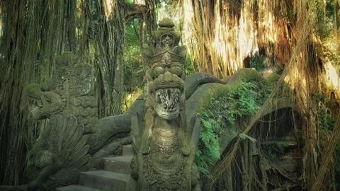 Monkey Forest in Bali, Indonesia Stockfoto's