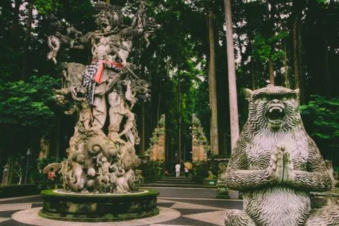 Monkey forest 写真素材