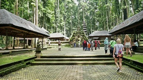 Monkey Forest Sightseeing Indonesian View Travel Tropic Slowmotion Video stock 70762024