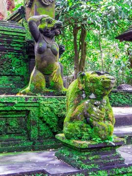 Monkey Forest, Ubud, Bali Stock-Fotos