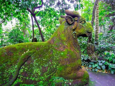 Monkey Forest, Ubud, Bali Stock Photos
