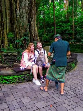 Monkey Forest, Ubud, Bali Stock Photos
