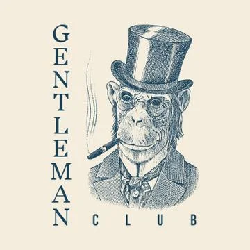 Monkey gentleman with a cigar and in a hat. Chimpanzee dressed in Suit. Fashion Stock Illustration