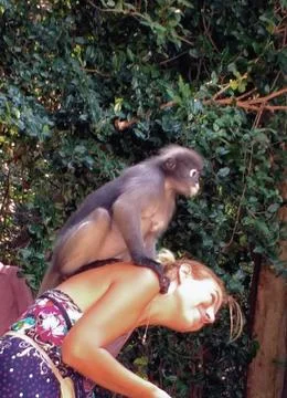 Monkey on girls head Stock Photos