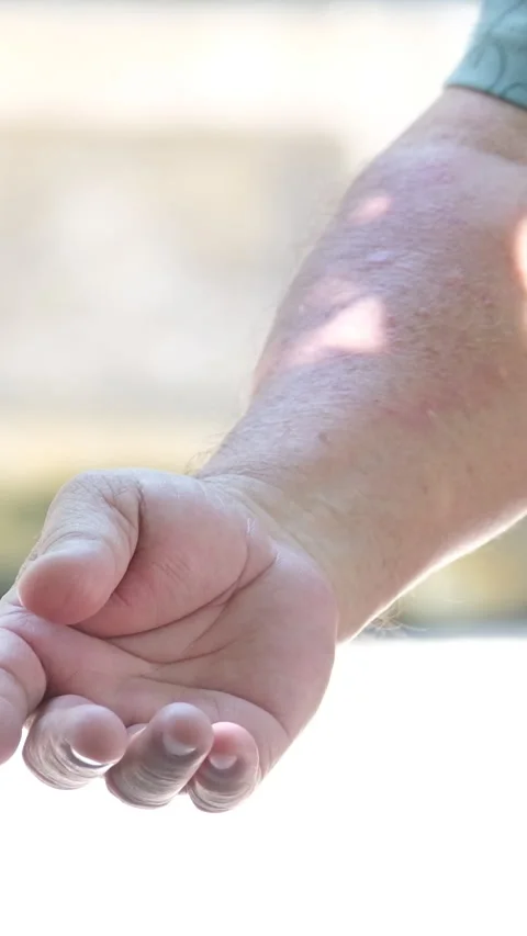 Monkey grabs the finger man gives a hand to a monkey monkey eat from my hand Stock Footage 310160972