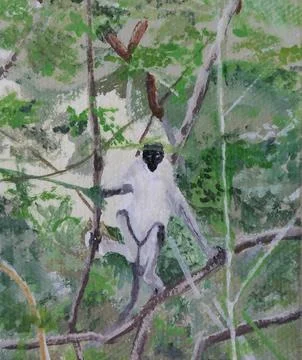 Monkey in Guana Bay Stock Illustration