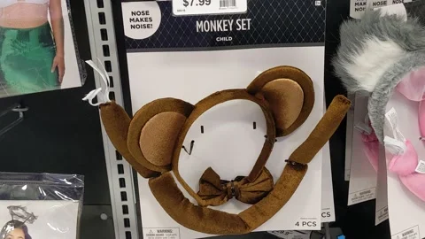 Monkey Halloween Set Stock Footage 169084297