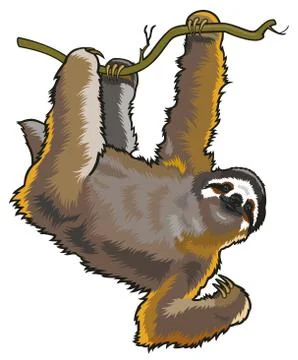 Monkey hanging on branches Stock Illustration