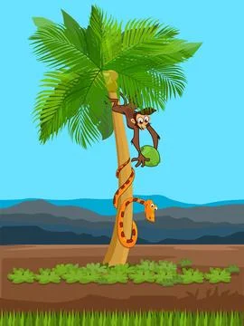 Monkey hanging on coconut tree Stock Illustration