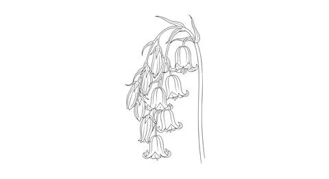 Monkey hanging from tree branch Stock Illustration