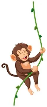 A monkey hanging on vine Stock Illustration