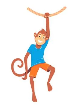 A monkey hangs on one hand on a liana. Stock Illustration