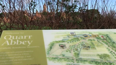 MONKEY HAVEN Stock Footage 135542746