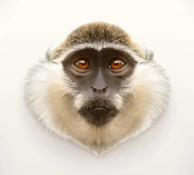Monkey head, realistic vector illustration Stock Illustration