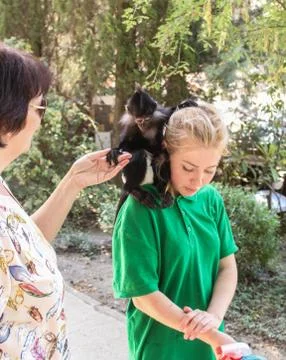 A monkey on his shoulder. Stock Photos
