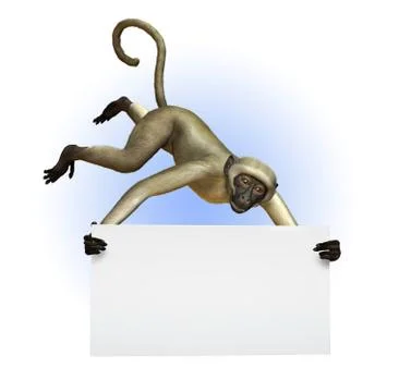Monkey Holding a Blank Sign Stock Illustration