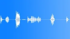 MONKEY, HOWLERSound Effect