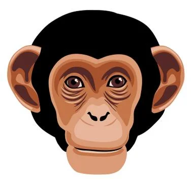 Monkey Stock Illustration
