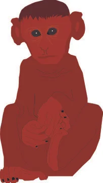 Monkey イラスト素材