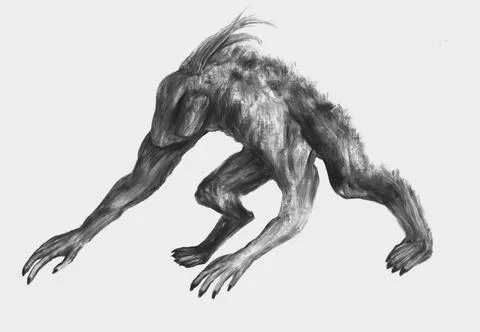 Monkey Stock Illustration