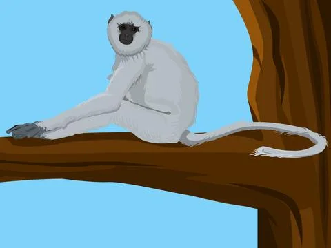 Monkey Stock Illustration