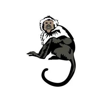 Monkey illustration Stock Illustration