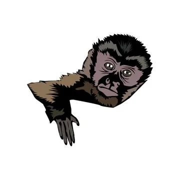 Monkey illustration Stock Illustration
