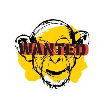 Monkey illustration vector Illustration