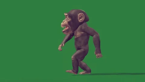 A monkey isolated isolated on green screen background Stock Footage 336890425