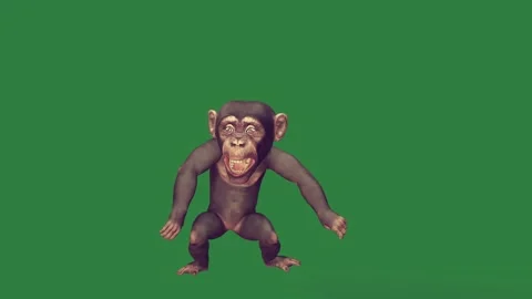 A monkey isolated isolated on green screen background Stock-Footage 336890440