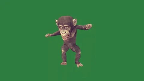 A monkey isolated isolated on green screen background Video stock 336890443