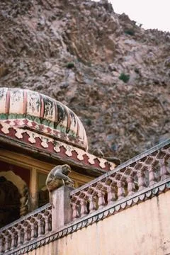 Monkey, Jaipur Stock Photos