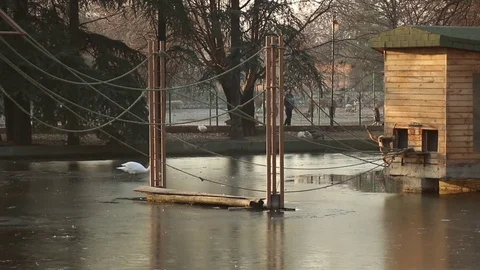 Monkey Jump Walk Rope Lake Frozen Sun Outdoors Video stock 70631653