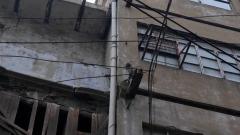 Monkey jumping and walking on a building in New Delhi Stock Footage 128000443