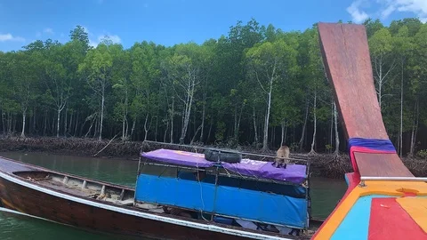 Monkey Jumps from Long Tail Boat to another Boat Stock Footage 124022930