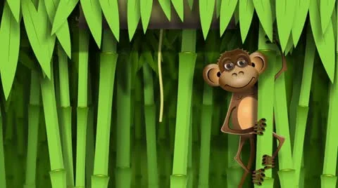 Monkey in the jungle Stock Footage 10914142