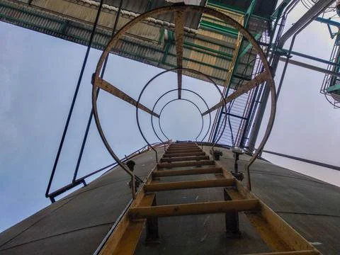 Monkey ladder. low-angle view Stock Photos