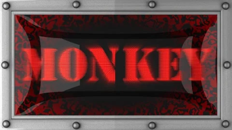 Monkey on led 動画素材 8752068