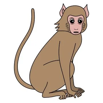 Monkey macaque. Stock Illustration