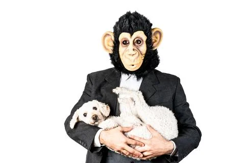 Monkey man caring for and protecting animals Stock Photos