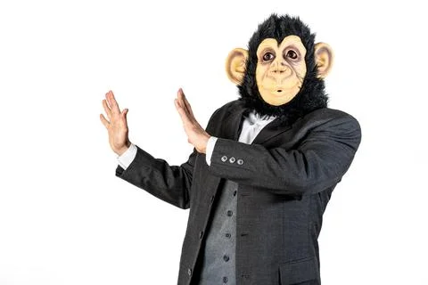 Monkey man explaining with hands gestures. Reassuring and calming gesture Foto stock